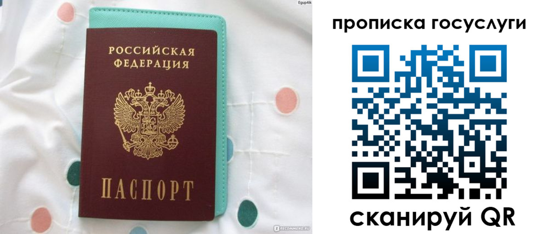 прописка поиск в Тайшете